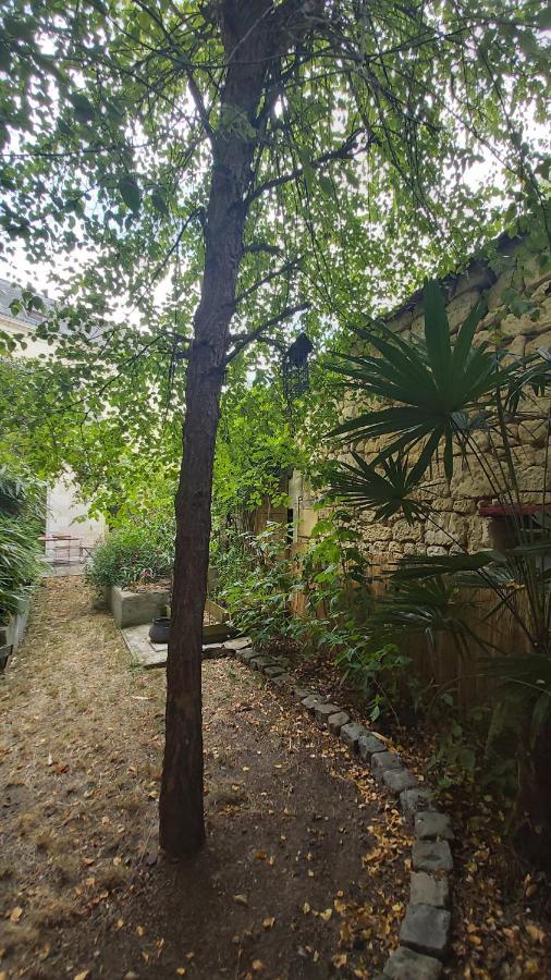 La Maison De Louise Chinon #Chateaux #Vignobles Exterior photo